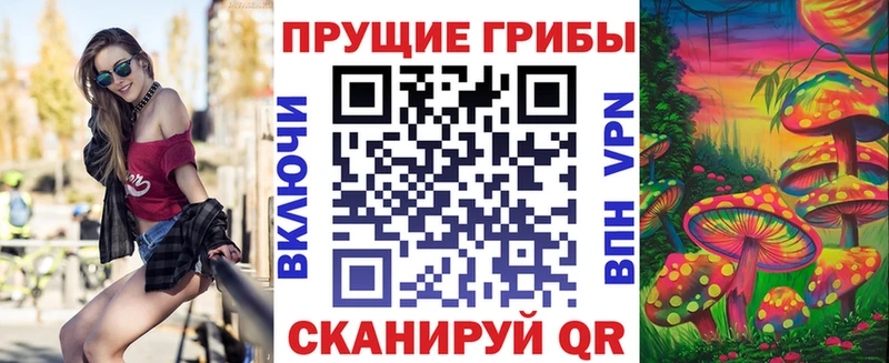 Галлюциногенные грибы Psilocybe  купить  цена  Красновишерск 